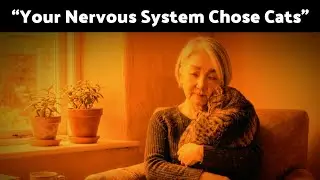 Why Cats Feel Safer Than People | The Psychology of Cat Lovers