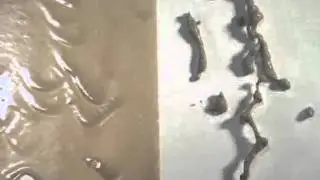 Self-Cleaning Lotus-Effect&reg; Paint: Watering Can Demo