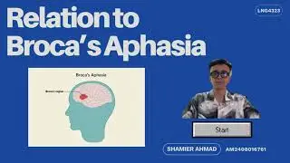Relation to Brain and Speech Functions (Broca's Aphasia)