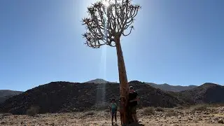 Nababiep to Xani Xaip / Xiap. Desire trumps wisdom. 