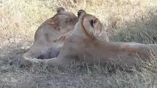 Imke &ndash; Familiereis Tanzania | Sawadee Reizen