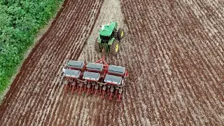 Milho safrinha no Paran&aacute;: plantio chega a 28% da &aacute;rea prevista