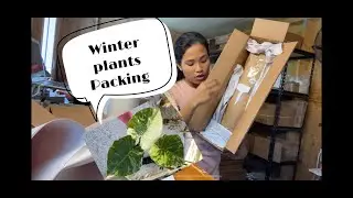 Winter Plants Packing / How to ship plants