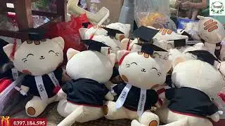 Gấu Mèo Đeo Sash Tốt Nghiệp TA5 - Fungift.vn
