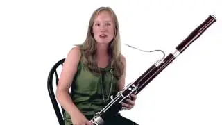 MusicProfessor - Beginning Bassoon