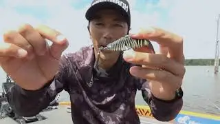 Bluegill bait!? - How to rig Bellows Gill