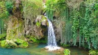 A small waterfall offering a visual and auditory experience  (NO COPYRIGHT)  I   Nature Life