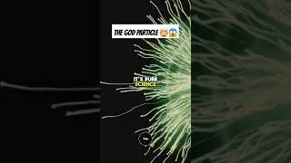 HIGGS BOSON - #godparticle #higgsboson #scienceexplained