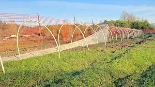 a day at the flower farm: temporary greenhouse hoop tunnels
