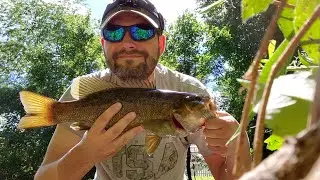 Catching my PB (HUGE) Smallmouth Bass at the Chester Creek