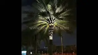 Outdoor Landscape Lighting 5W 7W 10W 12W LED Spotlight Palm Tree Spike Light with Ring