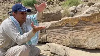 Trough Cross Beds within Upside Down in Sandstone