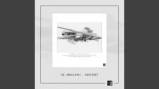 Report