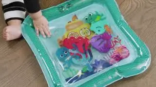 16847 Baby Einstein Water Mat