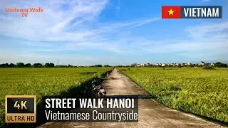 【4K】Sunset Walk in Vietnamese Countryside | Dong Anh district - Hanoi