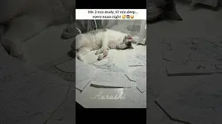 it's me😅😭#shorts#fyp#viralvideo#relatable#aesthetic#funny#memes#song#cat#sad#study#million