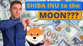 1M Dollars Tips: Shiba Inu To the MOON??? #shorts