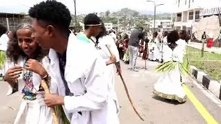 ወልድያ