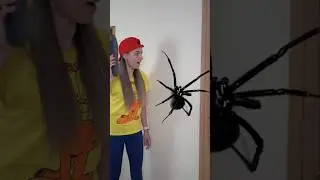 OMG Super Giant SPIDER🕷️in🕸️ room😜#shorts by Super Max