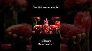 Your month = Your pet Pt. 1 #asmr #aiasmr #pets