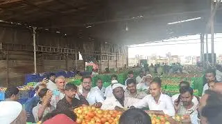 #Today Bagepalli Tomato rate#19/07/2025#100 to 460Top