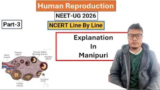 Human Reproduction || Part-3 || NCERT Line by Line #ncert #neet