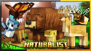 ✔NATURALIST MOD 1.18.2: URSOS, CERVOS E VAGALUMES - TUTORIAL MINECRAFT MOD