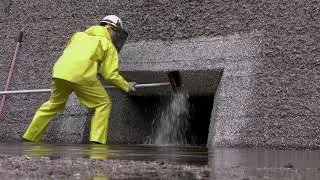Ballard Locks Annual Barnacle Party