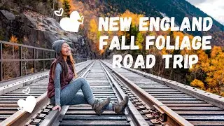 New England Fall Foliage Road Trip - Autumn shows us how beautiful it is to let things go! 🍁🍂