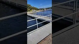 Discover The Hidden Gems Of Lake Tyers! #recoveryjourney #ndis #nature #fishingadventures