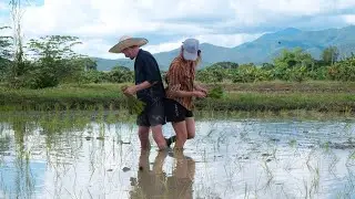 Feeling Home: Planting Rice In the Most Beautiful Place