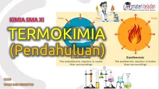 Termokimia Sistem Lingkungan Eksoterm dan Endoterm