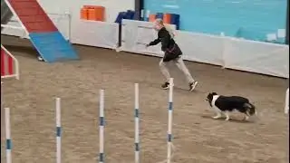 Super hyv&auml; Gimma t&auml;n&auml;&auml; treenis! 😍