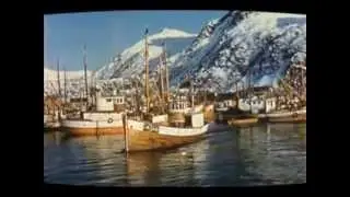 Lofoten Cod fishing winter 1955 - Lofotfisket anno 1955