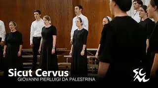 Sicut Cervus | Giovanni Pierluigi da Palestrina | Video 2 of 4 from the SCMC Chamber Choir