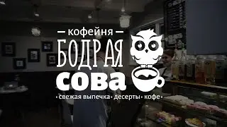 Бодрая сова | WORKING STUDIO