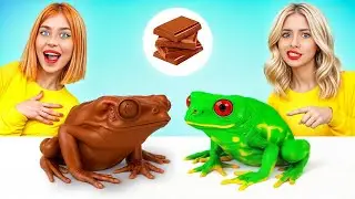 Desafio Comida de Verdade vs. Comida de Chocolate | Utens&iacute;lios Secretos da RATATA POWER