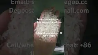 Automatic instant rice artificial rice nutritional rice extruder making machine production line