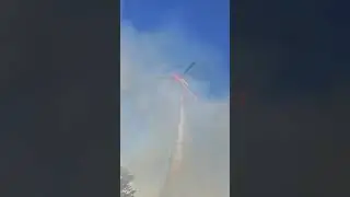 03 diciembre 2025. Incendio Forestal Camino Antiguo a Stgo altura Población La Isla, Valparaíso (P1)