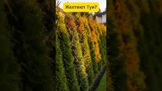 Удобрение Панацея Премиум.  Артикул Ozon: 2228856130.       Артикул WB: 465744429