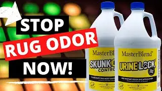 Best Rug Cleaning Pet Urine Removal