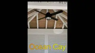 Escape to Paradise at MSC Ocean Cay Yacht Club Cabana