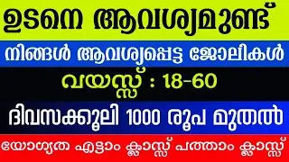 Job Vacancy Kerala Today 2025 | Latest Job Vacancy in Kerala