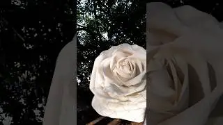 Онлайн-урок по созданию композиции из гигантских роз (Giant Rose Pop) стартует 10 января 2026 год...