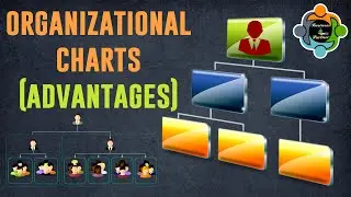 Organizational chart and its benefits
