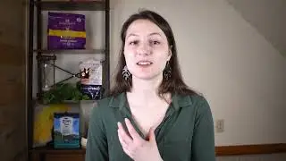 Kirkland Signature Maintenance Cat Chicken & Rice Review (We Tried It)