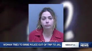 Estero woman accused of bribing deputy $1,200 to avoid DUI arrest