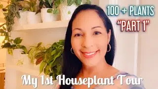 My First Houseplant Tour || 100 PLUS PLANTS || PART ONE