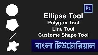 Ellipse Tool and Polygon Tool | Line Tool in Photoshop Bangla Tutorial | Shadin Creative Design