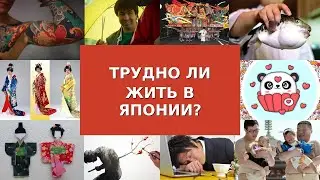 ПРАВИЛА ЯПОНСКОЙ ЖИЗНИ: ТРУДНО ЛИ ЖИТЬ В ЯПОНИИ?